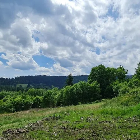 Apartman U Lebedu * Strazny