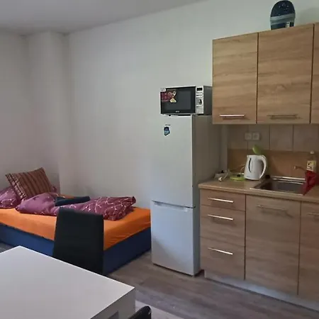 Apartment Apartman U Lebedu